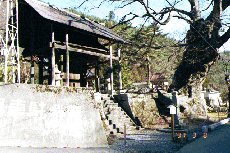 reisenji tenple mon