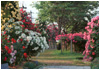 ��{�،����̃o�����i