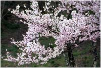 �������ފݍ�