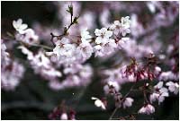 �������ފݍ�