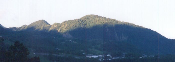 �V���R