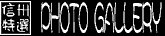 �M�B�ʐ^���I