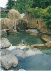 yakushi no yu roten