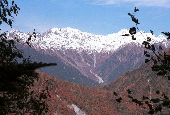 �O�i���߂̕䍂�x���X�[�p�[�ѓ��Ō��Ƃ��
